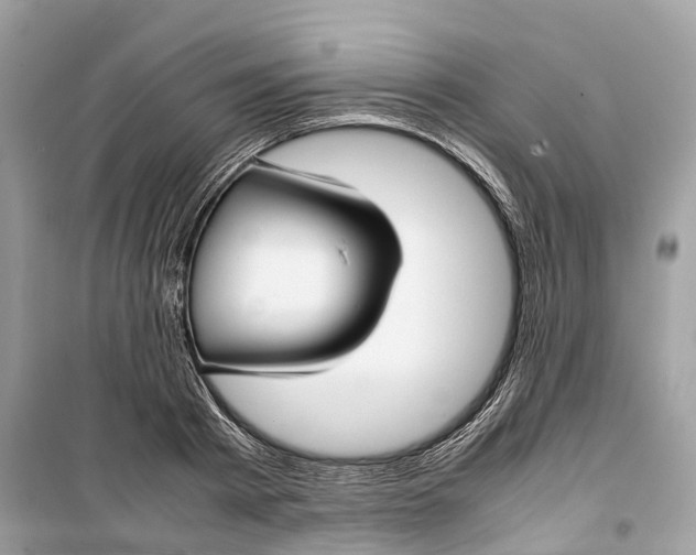 X0000099310793200805231402