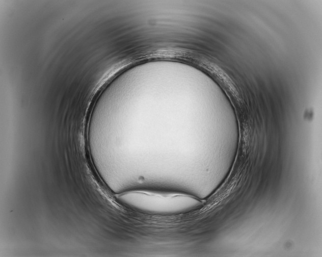 X0000099310794200805231402