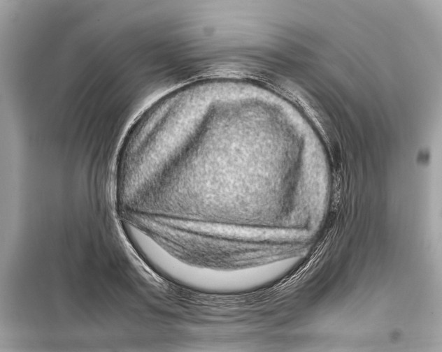 X0000099310795200805231402