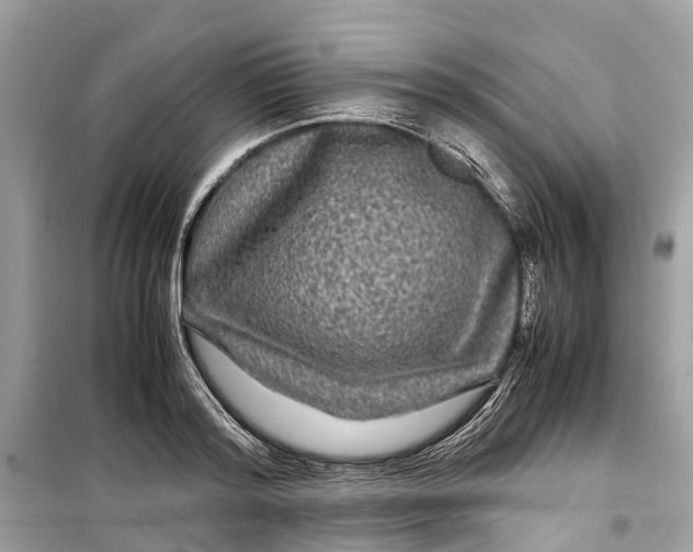 X0000099310796200805231402