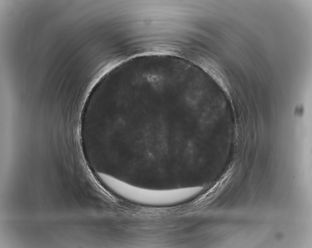 X0000099310797200805231402