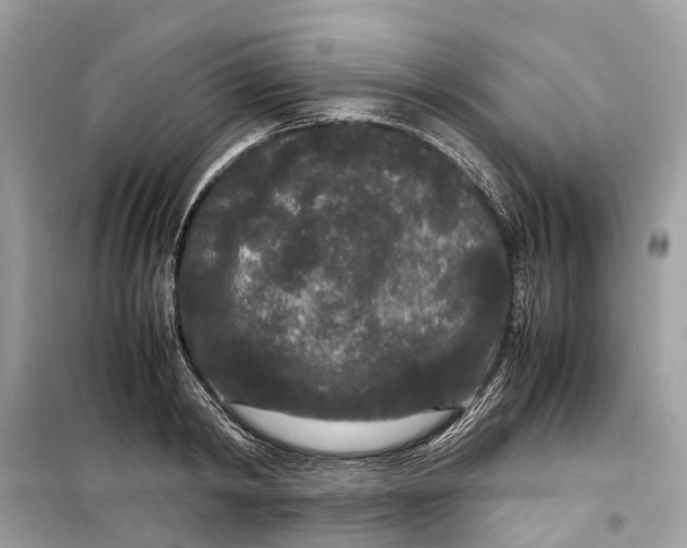 X0000099310798200805231402