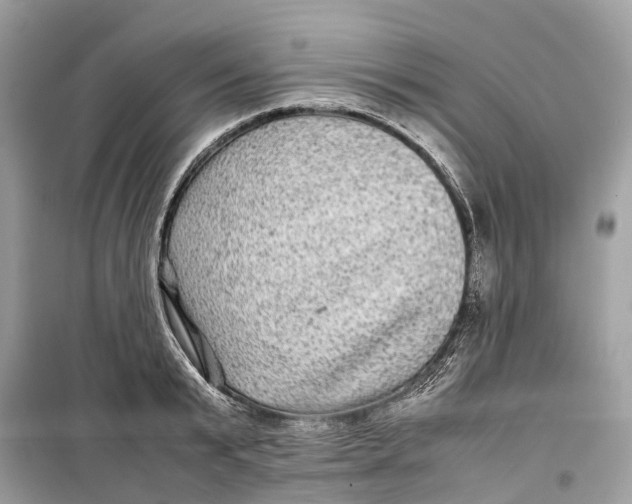 X0000099310799200805231402