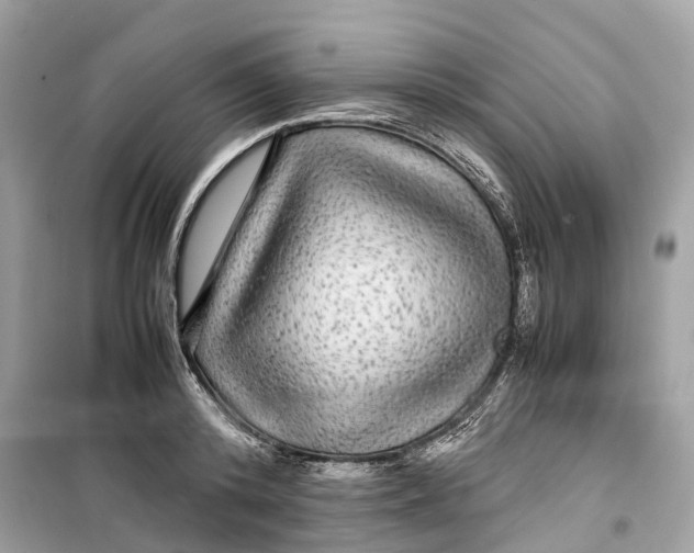 X0000099310800200805231402