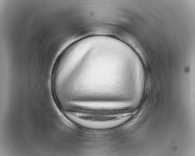 X0000099310803200805231402