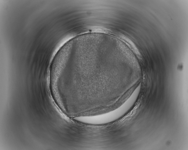 X0000099310804200805231402