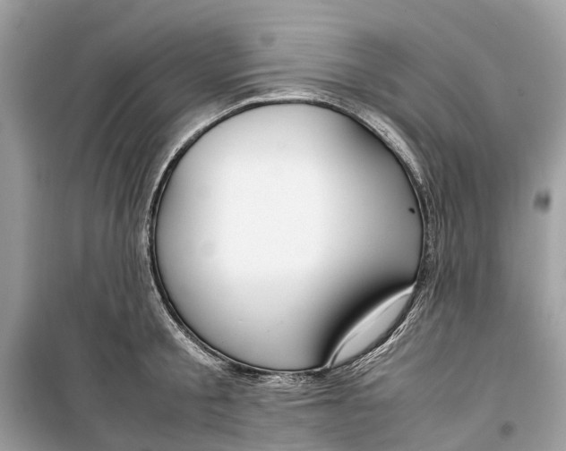 X0000099310805200805231402