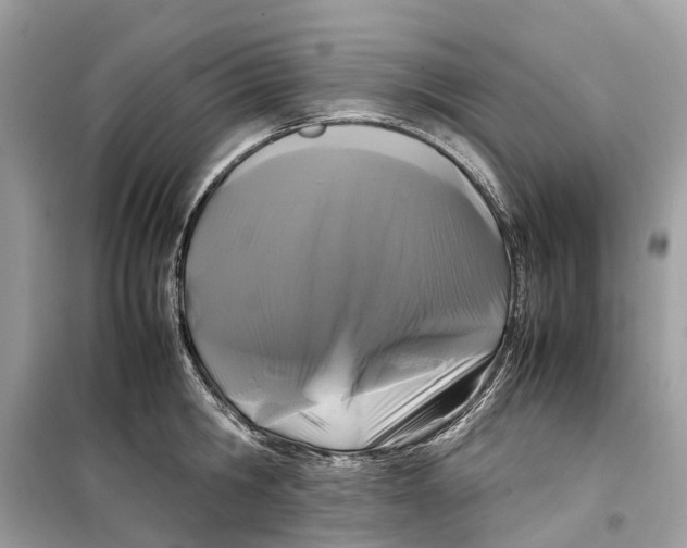 X0000099310806200805231402