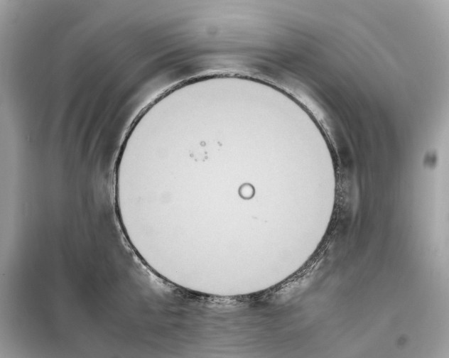 X0000099310807200805231402