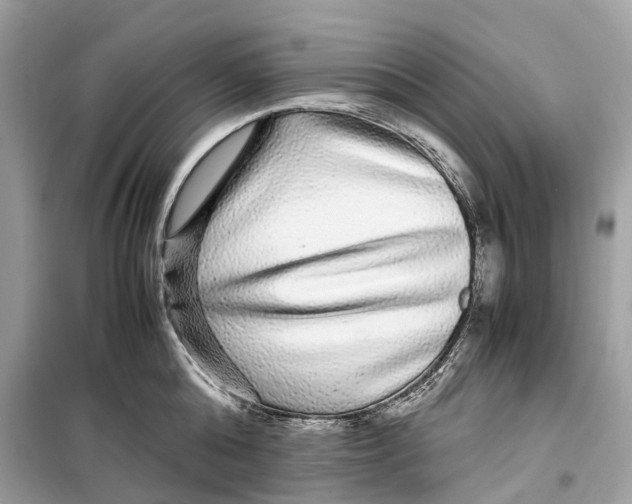 X0000099310808200805231402