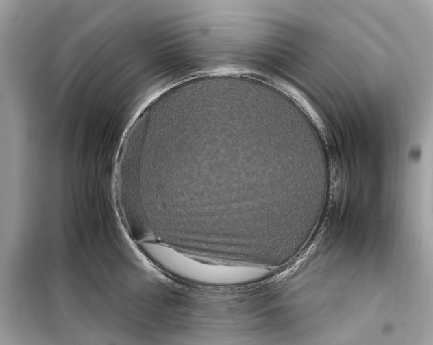 X0000099310810200805231402