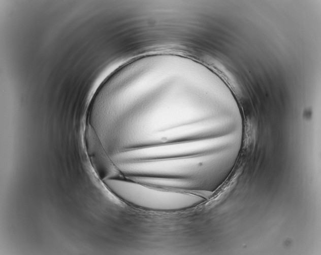 X0000099310812200805231402