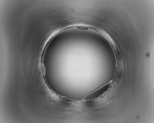 X0000099310813200805231402