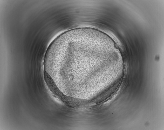 X0000099310814200805231402