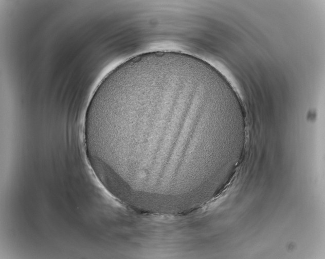 X0000099310815200805231402