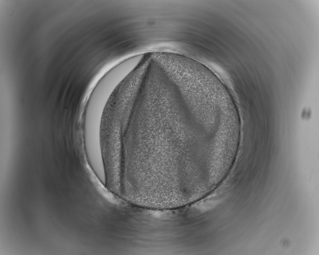 X0000099310816200805231402