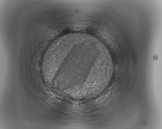 X0000099310817200805231401