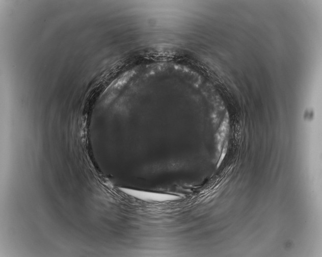 X0000099310818200805231401