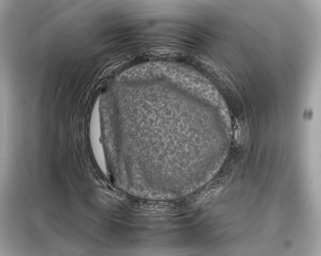 X0000099310819200805231401