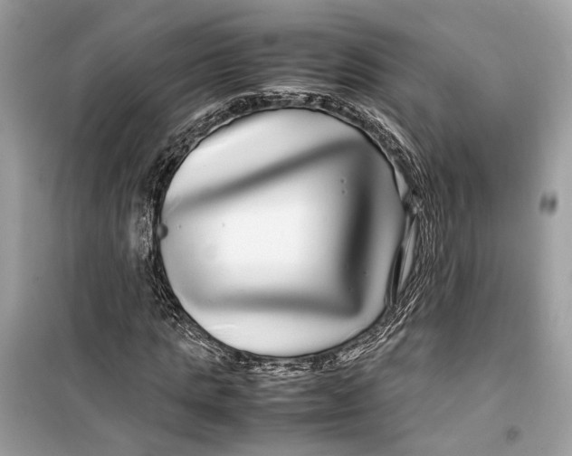 X0000099310821200805231401