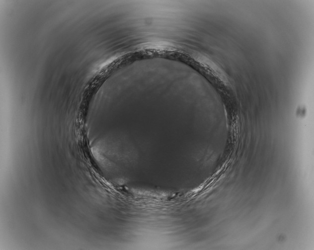 X0000099310822200805231401