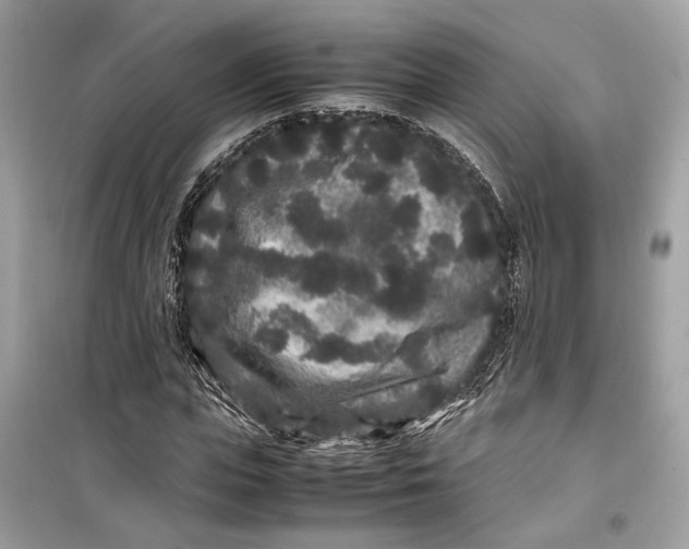 X0000099310823200805231401