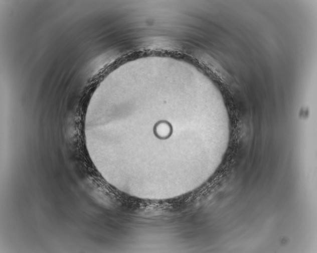 X0000099310824200805231401