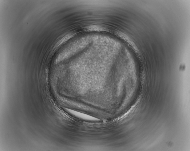 X0000099310825200805231401