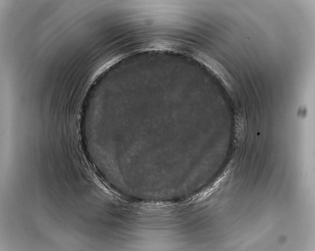 X0000099310826200805231401