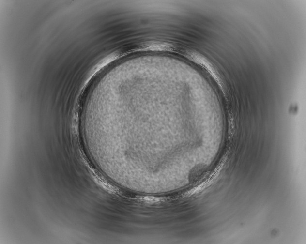 X0000099310827200805231401