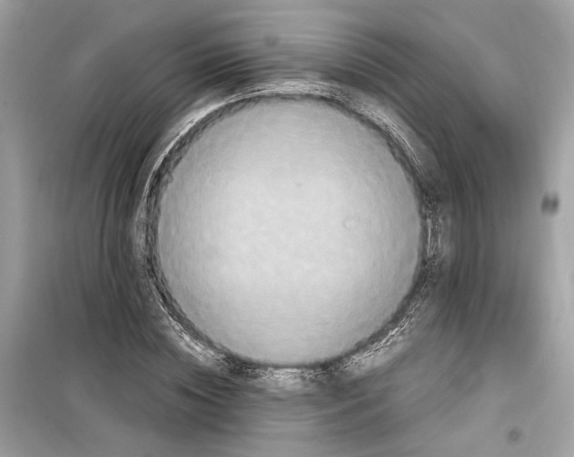 X0000099310828200805231401