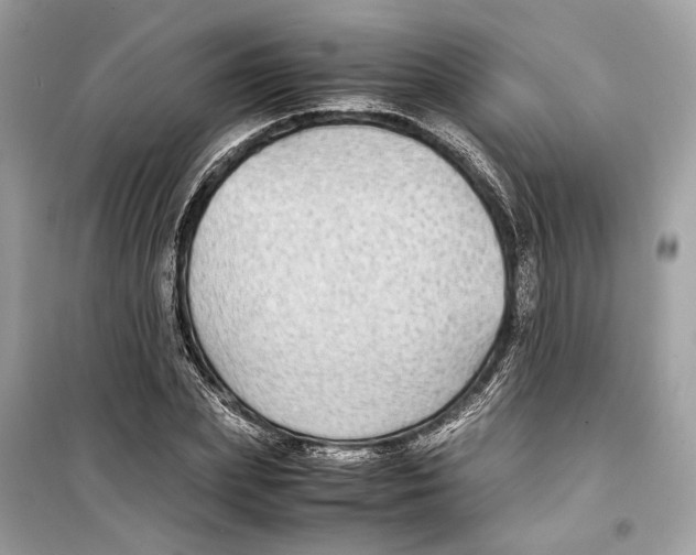 X0000099310831200805231401