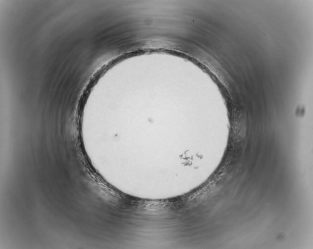 X0000099310832200805231401