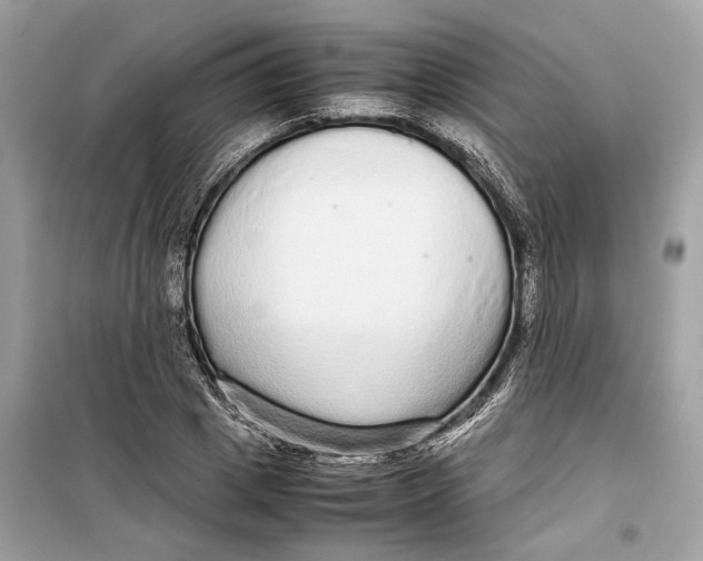 X0000099310833200805231401