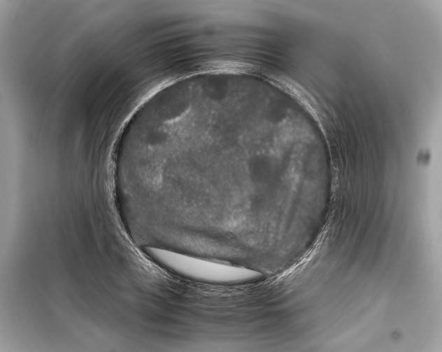 X0000099310835200805231401