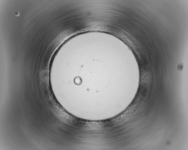 X0000099310836200805231401