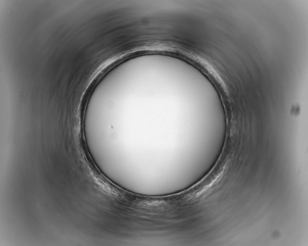 X0000099310837200805231401