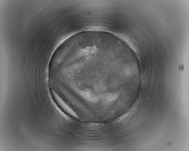 X0000099310839200805231401