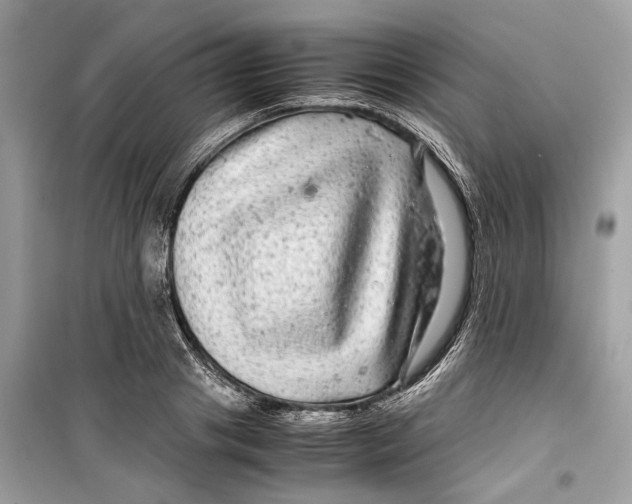 X0000099310841200805231401