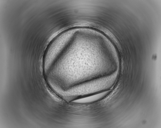 X0000099310842200805231401