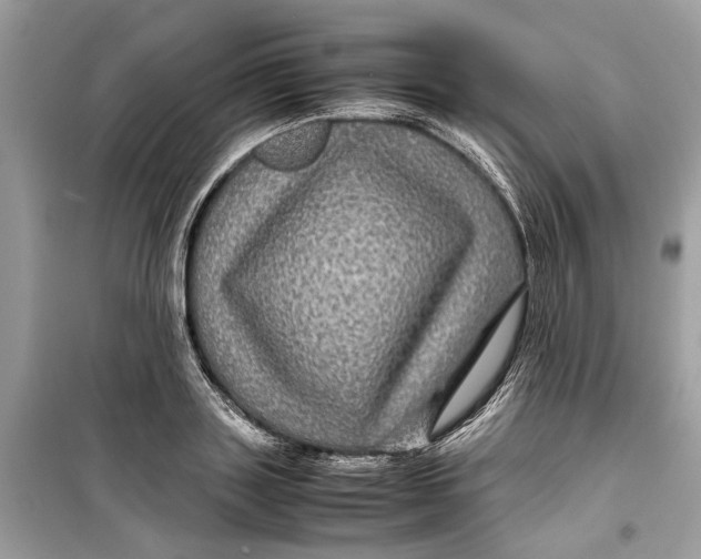 X0000099310843200805231401