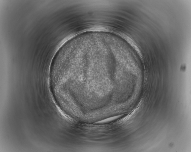 X0000099310845200805231401