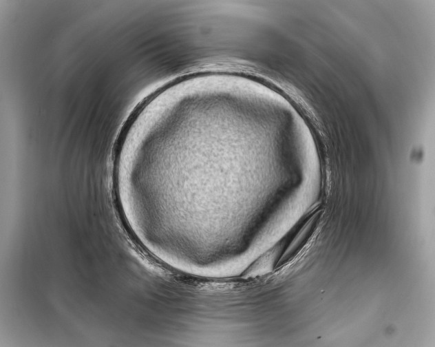 X0000099310846200805231401