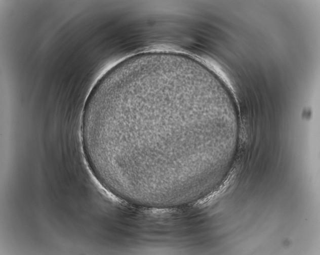 X0000099310847200805231401