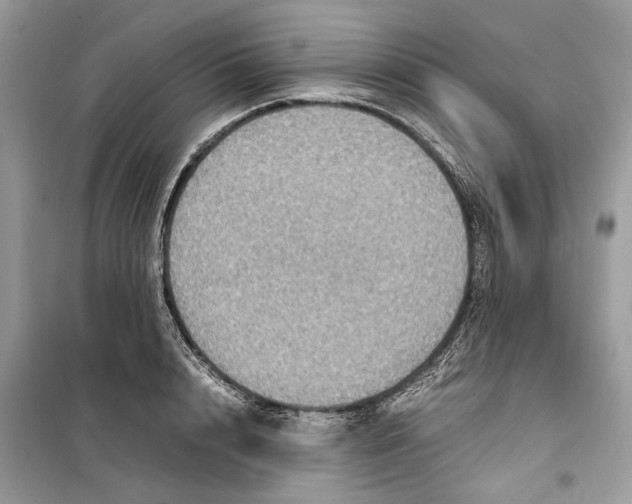 X0000099310848200805231401