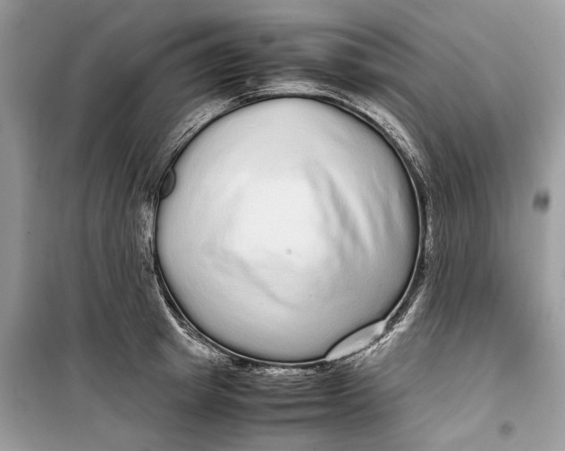 X0000099310849200805231401