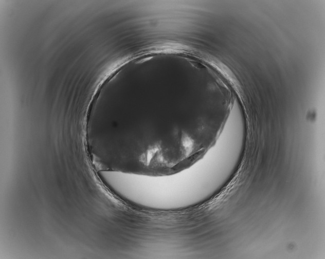 X0000099310850200805231402