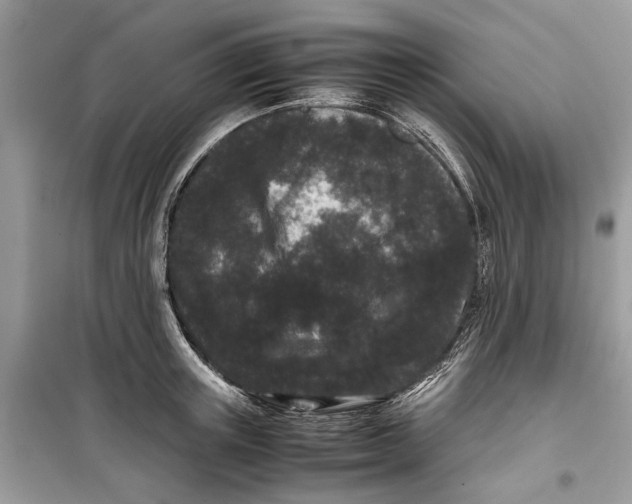 X0000099310851200805231402