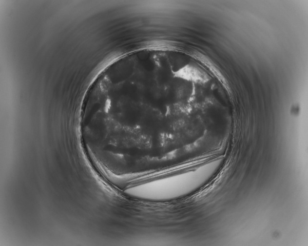 X0000099310853200805231402