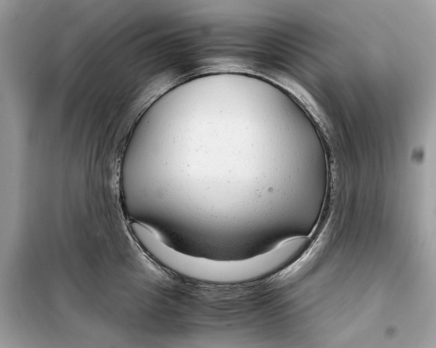 X0000099310857200805231402